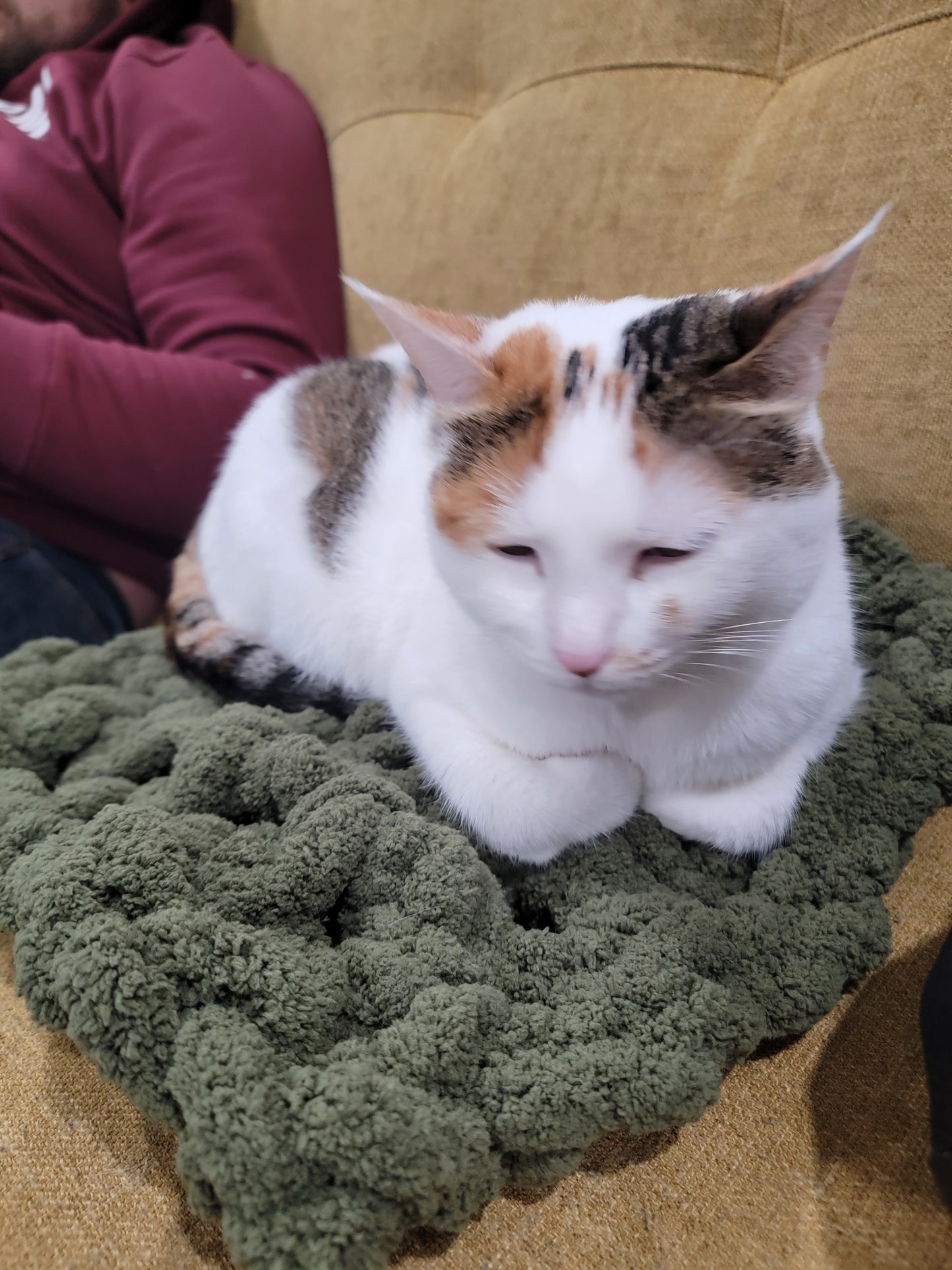 Calico cat sleeping on a green textured blanket next to a person on a yellow couch.